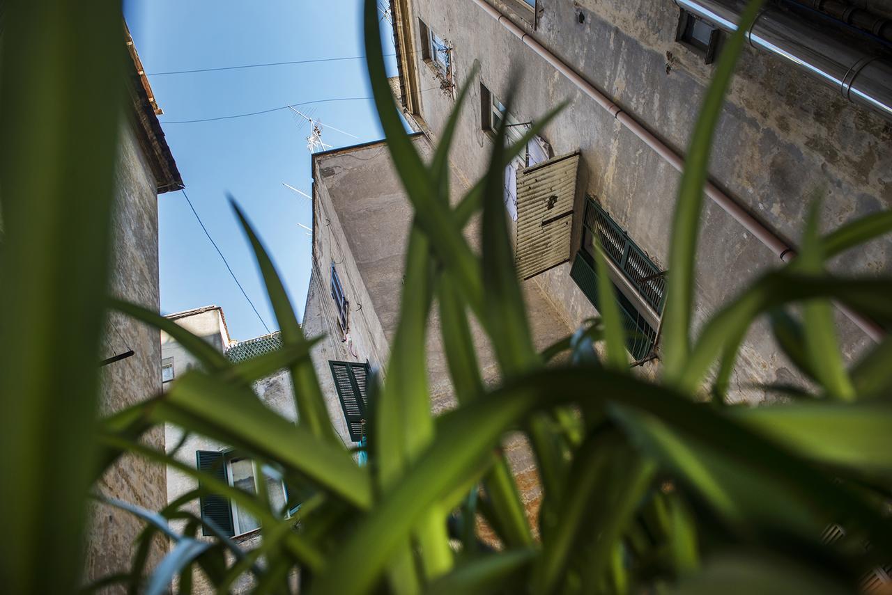 Obelus Bed & Breakfast Rome Bagian luar foto
